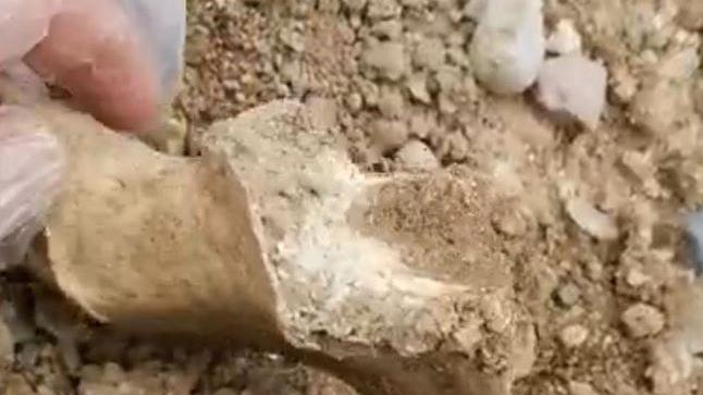 I frammenti di ossa umane affiorate nel cimitero di Carpenedolo 