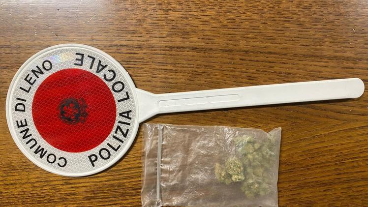 La marijuana sequestrata sabato sera a   Pavone dalla Polizia locale 