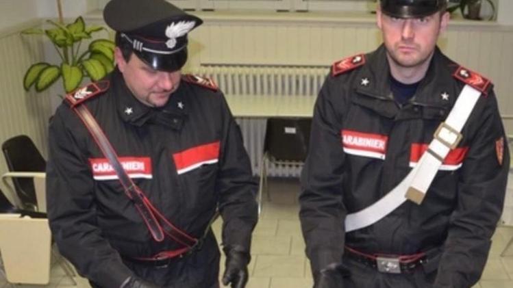 Lo stupefacente sequestrato dai carabinieri in Valcamonica 