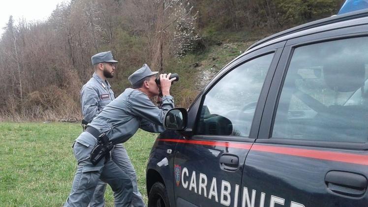 Gli accertamenti erano stati  affidati ai carabinieri forestali di Breno
