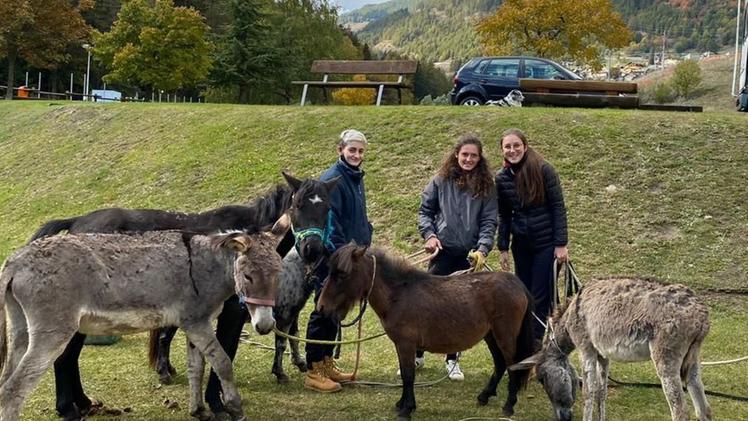 Giulia Pulcini con un gruppo di muli e cavalli salvati in Val d’Aosta 