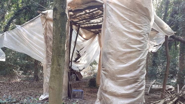 Un gruppo di persone ha bivaccato abusivamente nel parco del Mincio accendendo fuochiIl rifugio allestito distruggendo gli alberi di un lotto di bosco