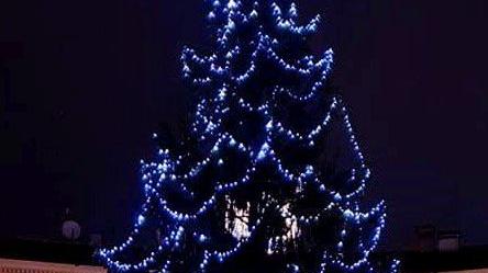 L’albero di Natale in piazza a Rovato: un simbolo delle festività