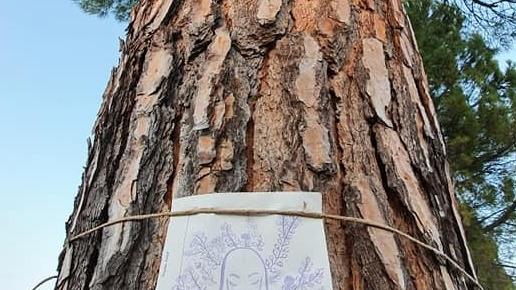 Uno dei messaggi affettuosi affissi dai cittadini sugli alberi