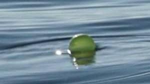 Un palloncino sgonfio nel lago 