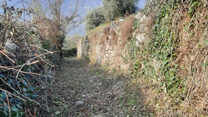 Il sentiero di Sale Marasino ripulito da rovi e sterpaglie