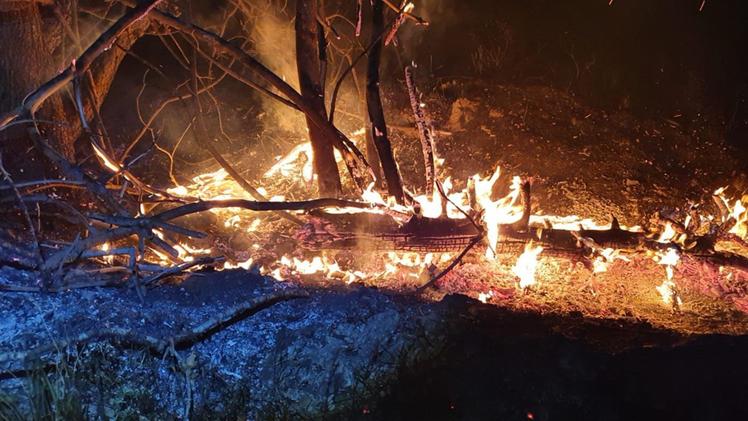 Un’immagine  dell’incendio boschivo che tra Pasqua e Pasquetta ha fatto danni sui monti sopra Cortine di Nave