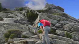 Sulle rocce di granito delle Calanche  sull’Isola d’Elba