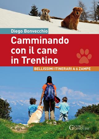 Camminando con il cane in Trentino