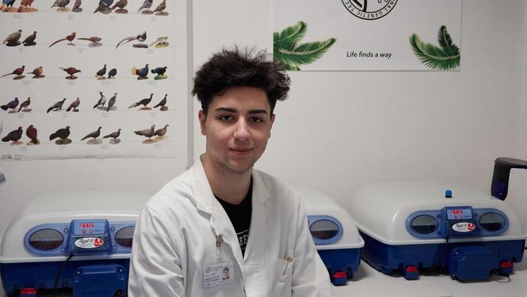 Filippo Giordano, 19 anni, nel suo laboratorio