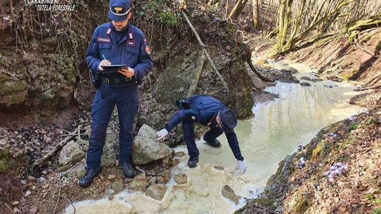 Carabinieri forestali impegnati in un controllo ambientale
