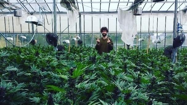 Nicolò Savoldelli  in una delle sue piantagioni di marijuana a basso contenuto di principi attivi: la sua attività sta prendendo sempre più piede 