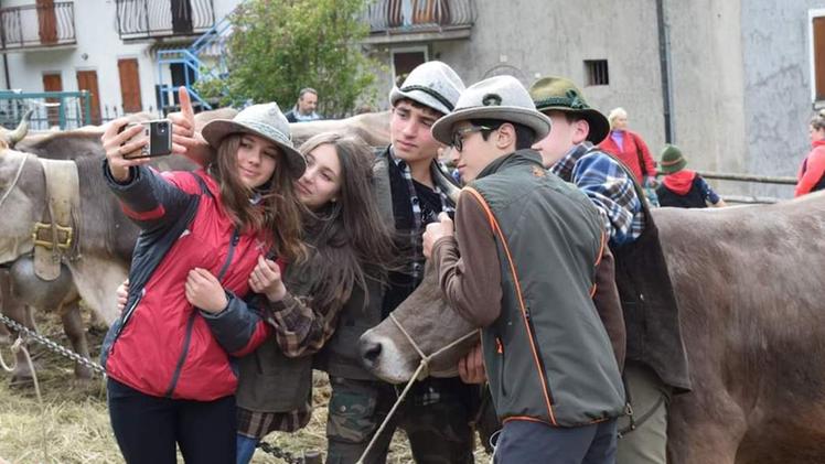 Un selfie fuori dagli schemi alla rassegna bovina di San Colombano