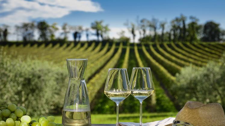 Anche i vini bresciani saranno protagonisti dal 10 giugno al Vinoforum di Roma