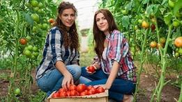 L’agricoltura al femminile trova riscontro anche nell’impegno messo in campo da  Donne Impresa ColdirettiNadia Turelli (Donne Impresa)