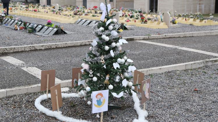 L'albero di Natale allestito al Vantiniano
