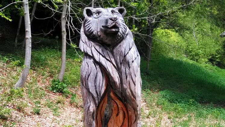 Il tronco secco di un albero si è trasformato in un orso
