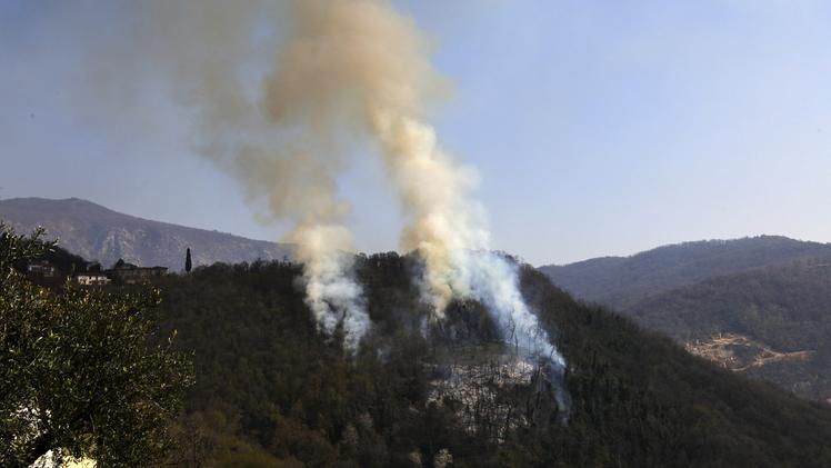 Uno dei numerosi incendi divampati nei boschi di Botticino
