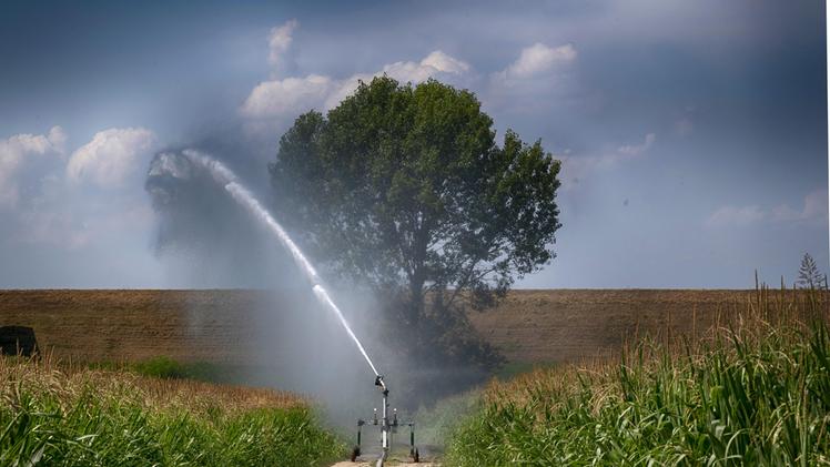 L'irrigazione di un campo di mais, coltura idroesigente per eccellenza