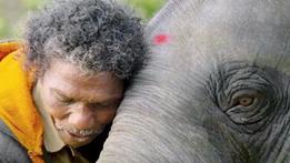 "Raghu, il piccolo elefante" di Kartiki Gonsalves è già disponibile su Netflix