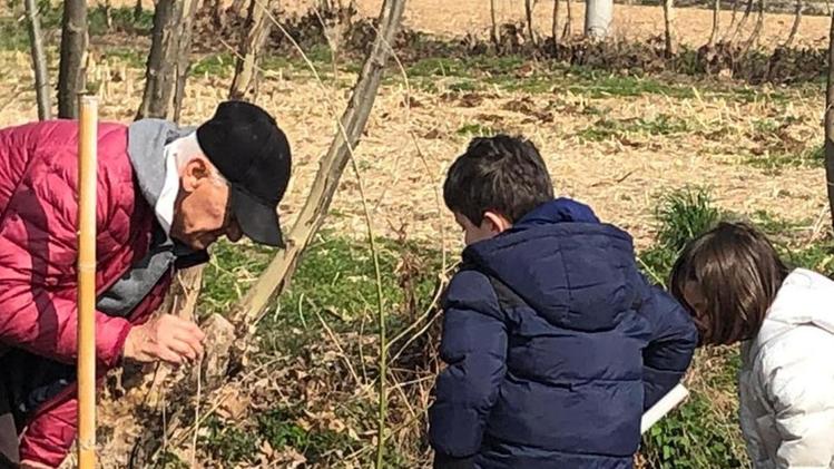 I bambini della scuola materna di Orzivecchi piantano gli alberelli aiutati da nonni e volontariUno dei bambini di Orzivecchi  alle prese con la piantumazione